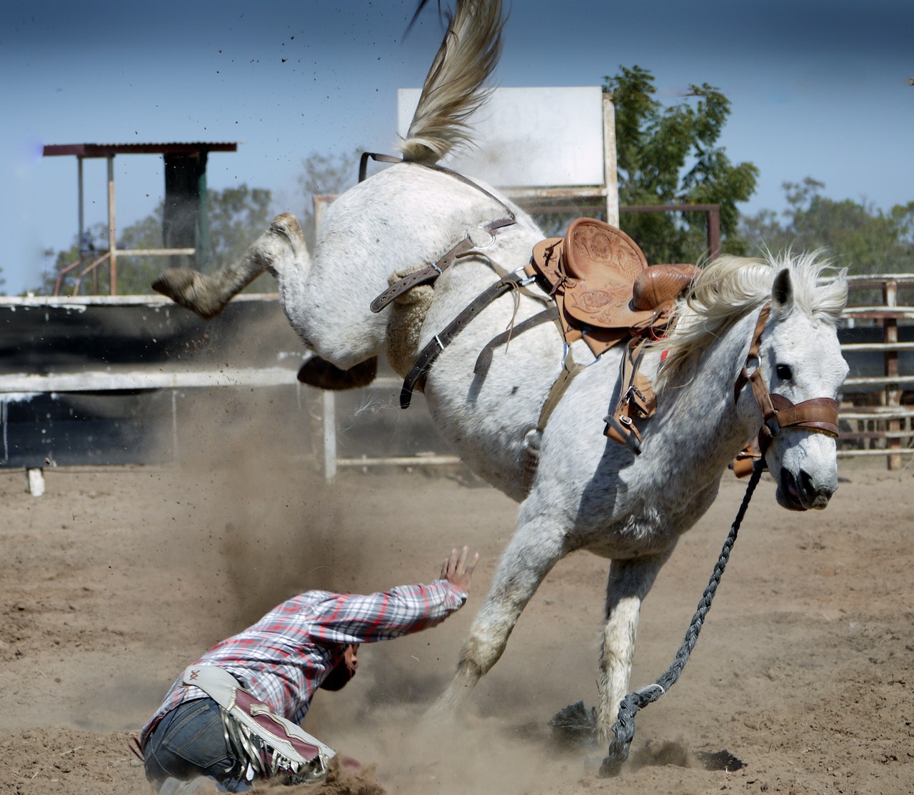 Horswe Ridign Horse Riding Safety